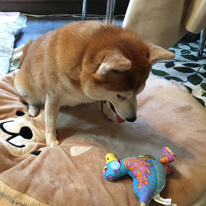 F537f09e 5edb 450e 9781 77a8cc160b90