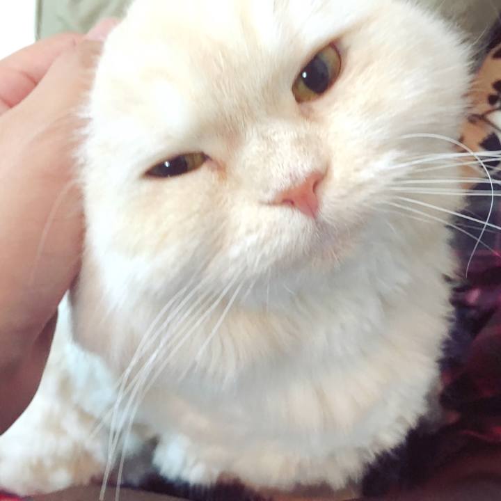 F5388e45 e73c 452a ba62 cae029a29a60