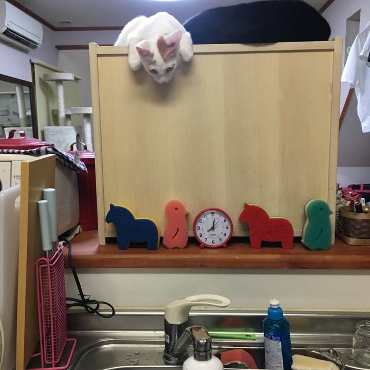 F538d8bb 2b4d 4fed 9076 f8e4bb8e6879