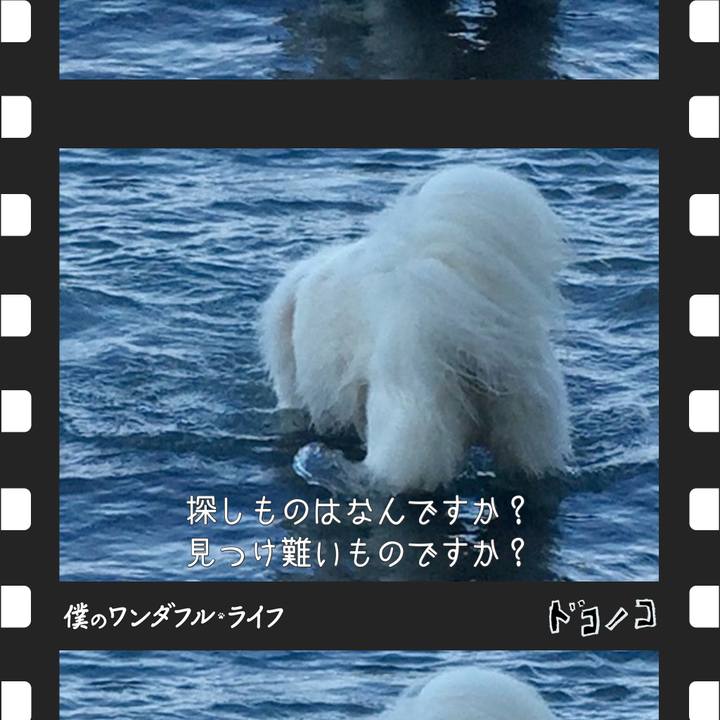 F53a1715 93cd 4fc8 8a5d 5258e1bfed68