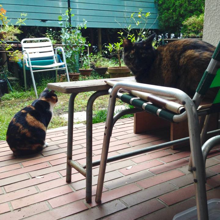 F53b0daa 3ed8 42cb 9ff6 efbfb5d50429