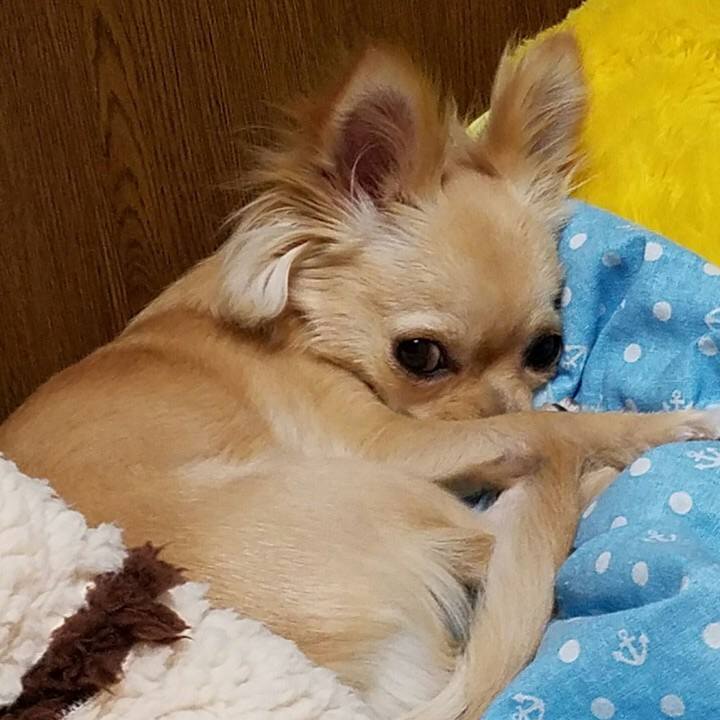 F53bf248 5819 4427 8285 3f062acf72c6