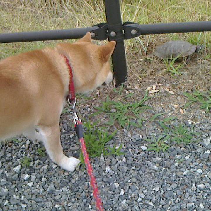 F53bf374 ee87 41e1 b688 043e2023b404