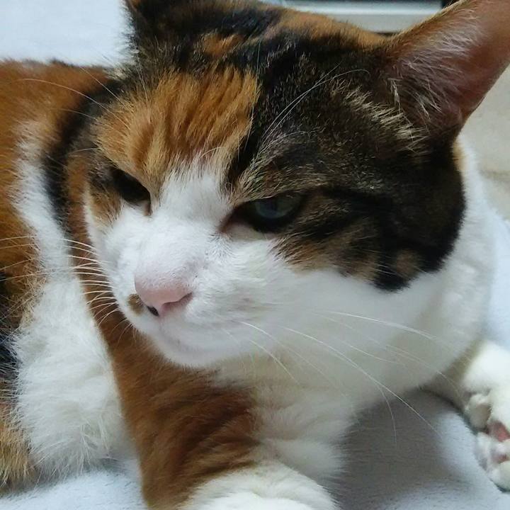 F53c4a46 ac34 4c87 b63f 09564effdce8