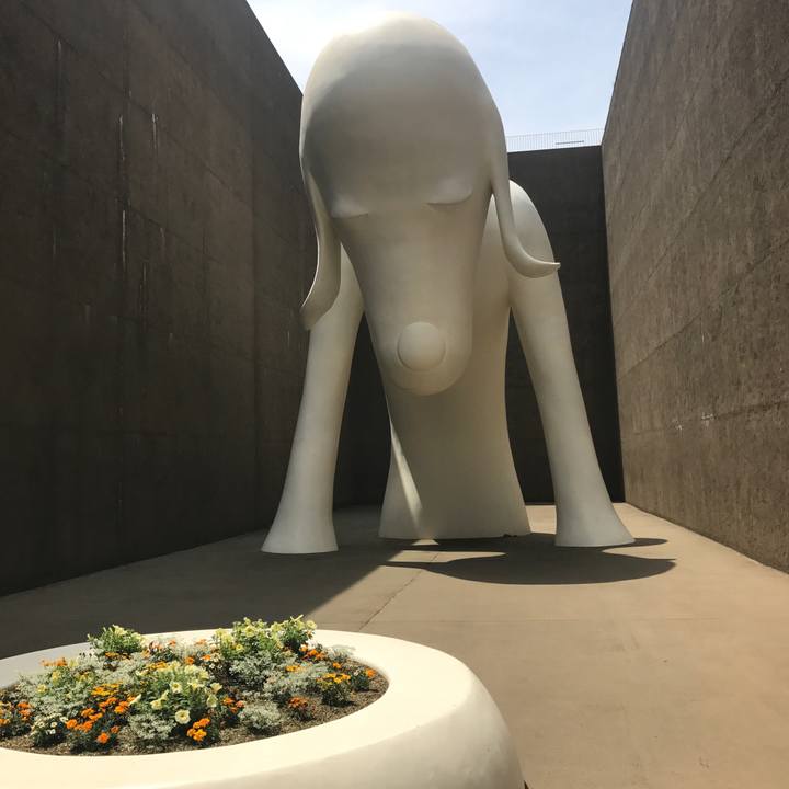 F53c53e8 faf9 4fbd 9218 493d75a51e8f