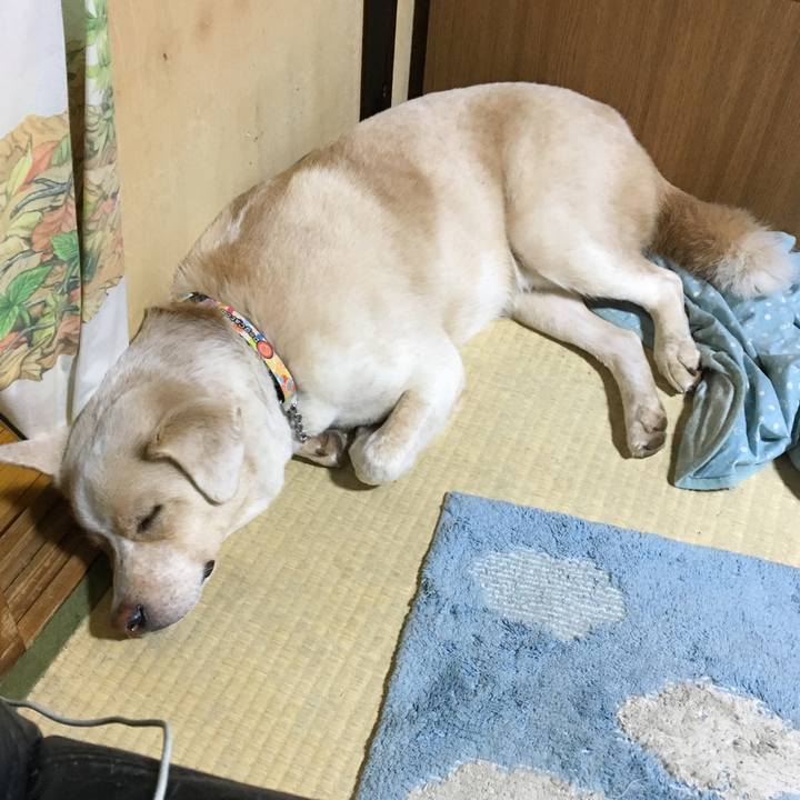 F53ca9d5 39af 4acb b84b f7239fce3919