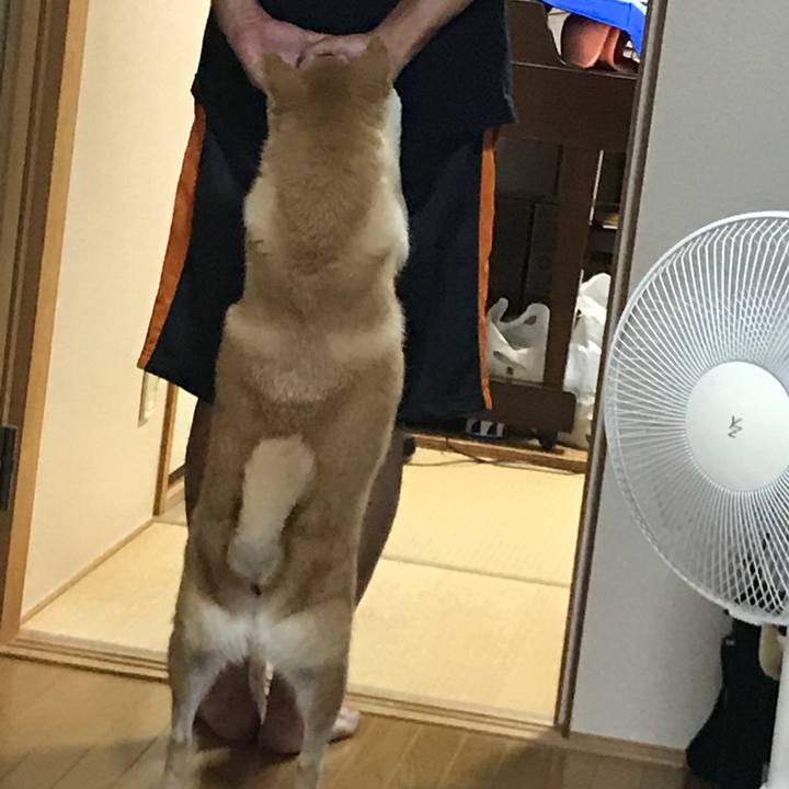 F53d14ea cdaf 422b b2f4 887f98535f8a