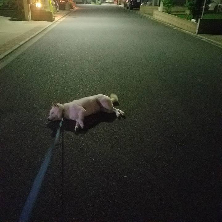 F53d363a 8a0f 4792 9eba d8b007703a1d