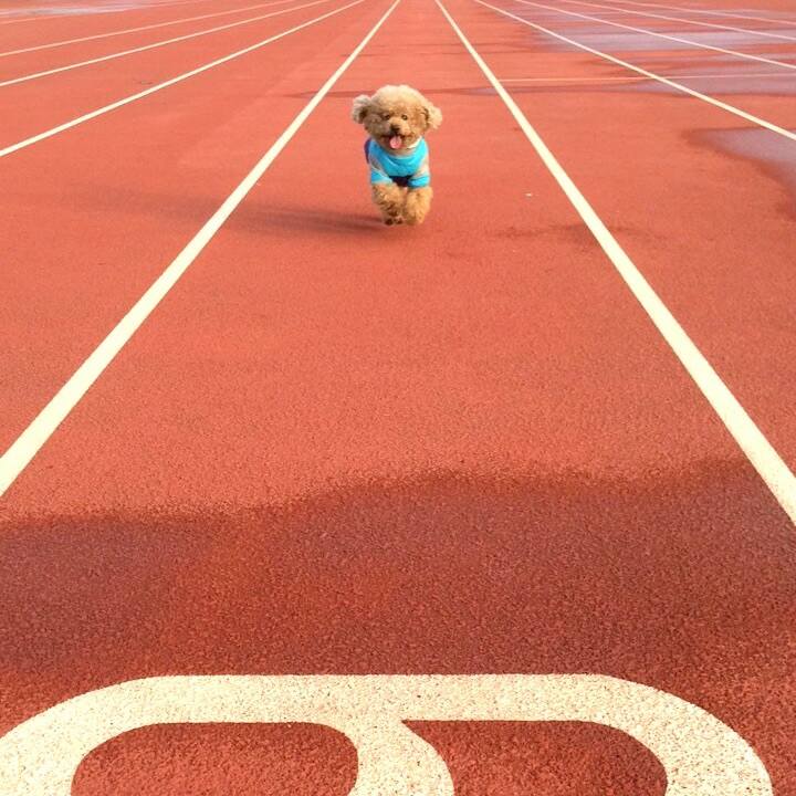 F53d3e51 bc8e 4694 ae55 48765763cc37