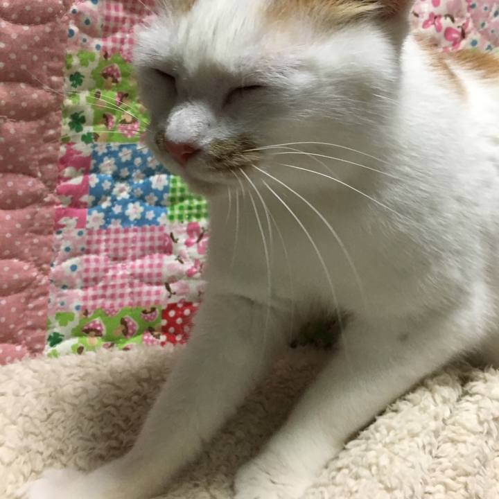 F53d6c34 2415 4cdd b73f 3c86e235c211