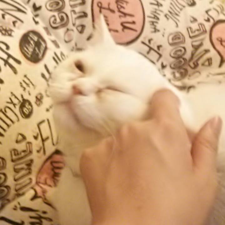 F53d7762 57ec 49c6 b687 801122fbee4e