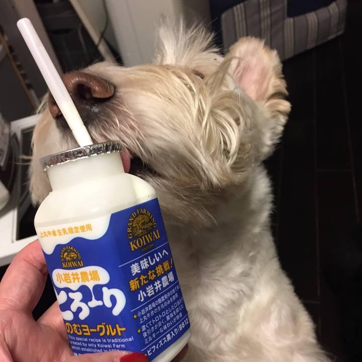 F53dbf21 6244 4c80 9f9e 30a87f1d2596