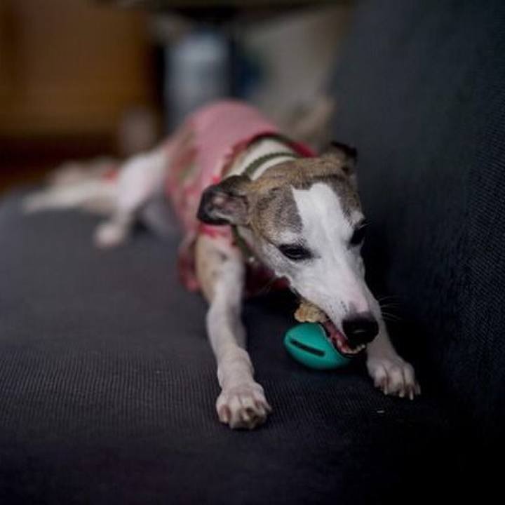 F53eb4f0 f94b 4cf4 9823 b503afab7fef