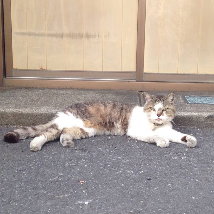 F53ec1be 4a6e 43a3 8e17 4d6cb81b2ecf