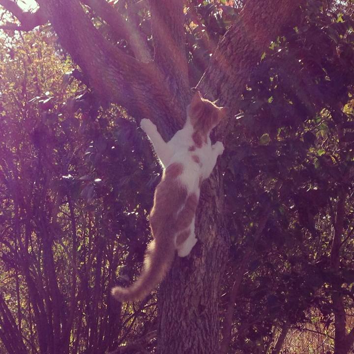 F53f892f d40b 4052 9f11 a57bc7c637cb