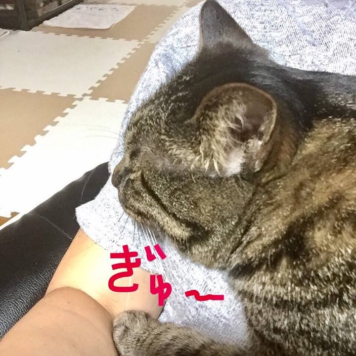 F53fe724 72c0 4663 8044 93240e370f0f