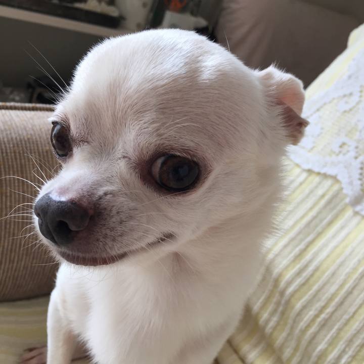 F540623d c118 4aa0 a3e0 445b872abb59