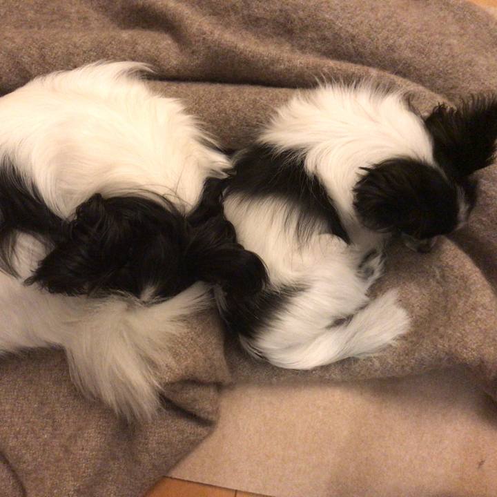 F540663c cdf6 4dc1 9649 f039a603e9c4