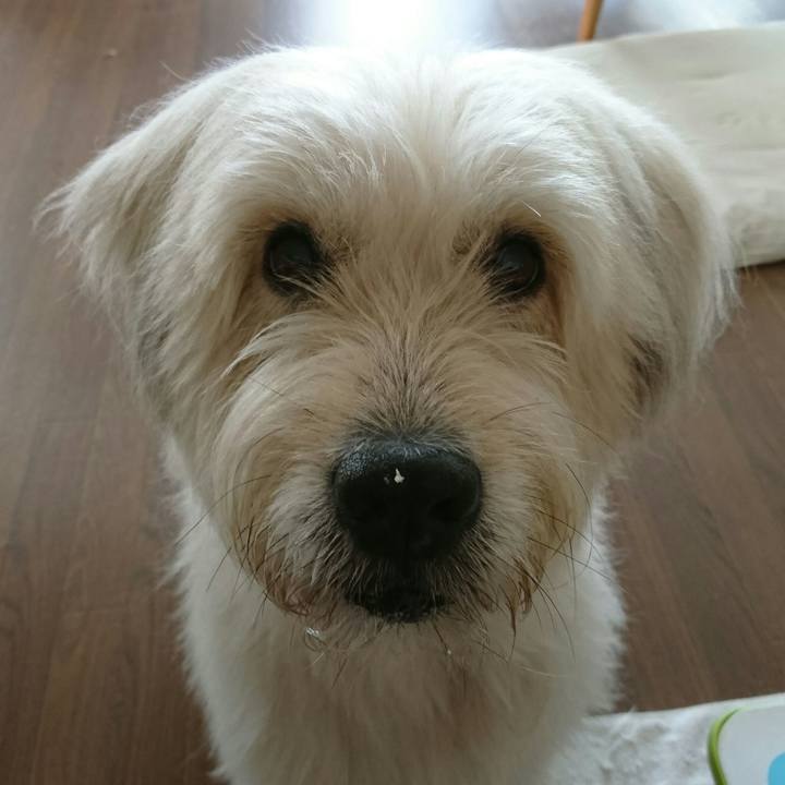 F540f353 2f82 4350 bd60 dd1140d0837d