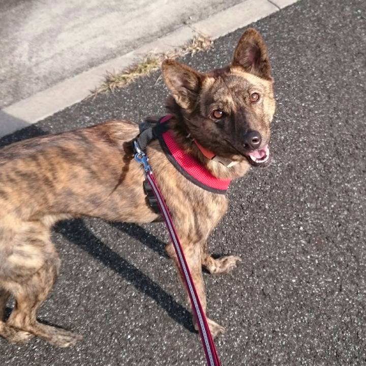 F5410449 3a1c 49ed a199 d246d0ec8bdc