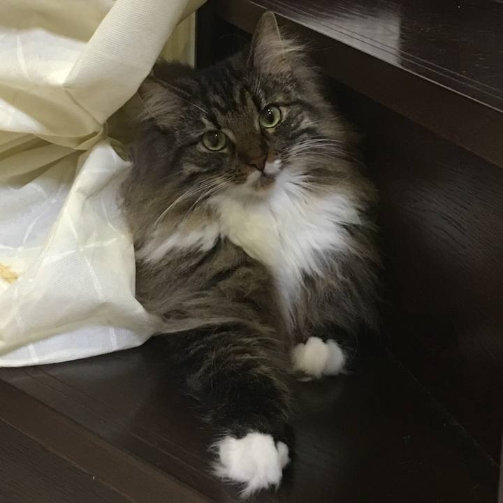 F5411bce 0aed 436e 986f 60aaf4daf946