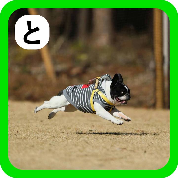 F542cb05 abc6 4040 8dba 570cf1c543d7