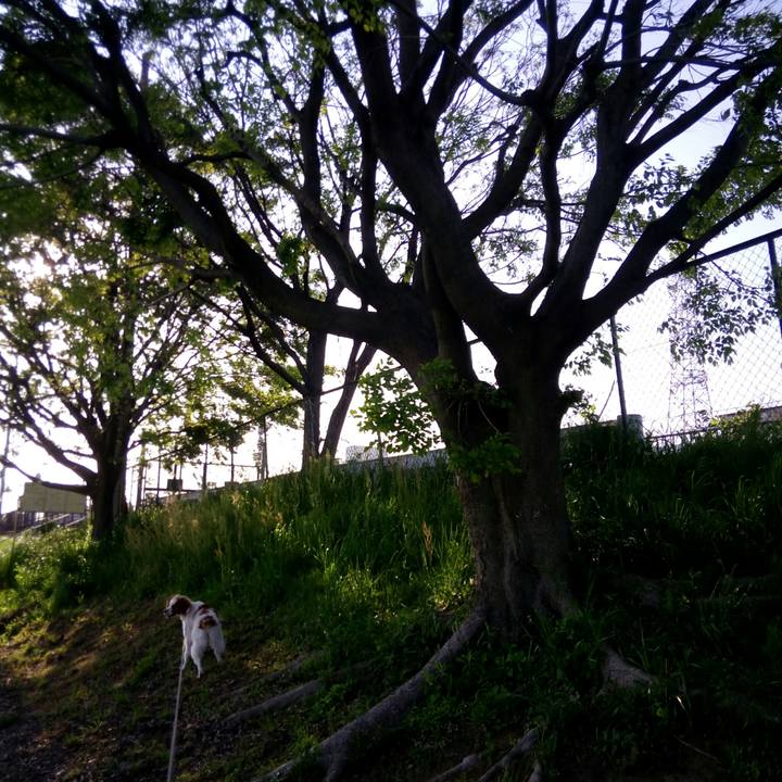 F542ea7c e185 416a 86cf b5d6484f9460