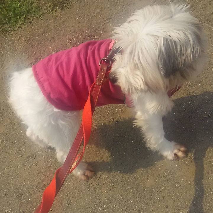 F542fd7c 1f83 4f1c 8abd c2270f289f0d