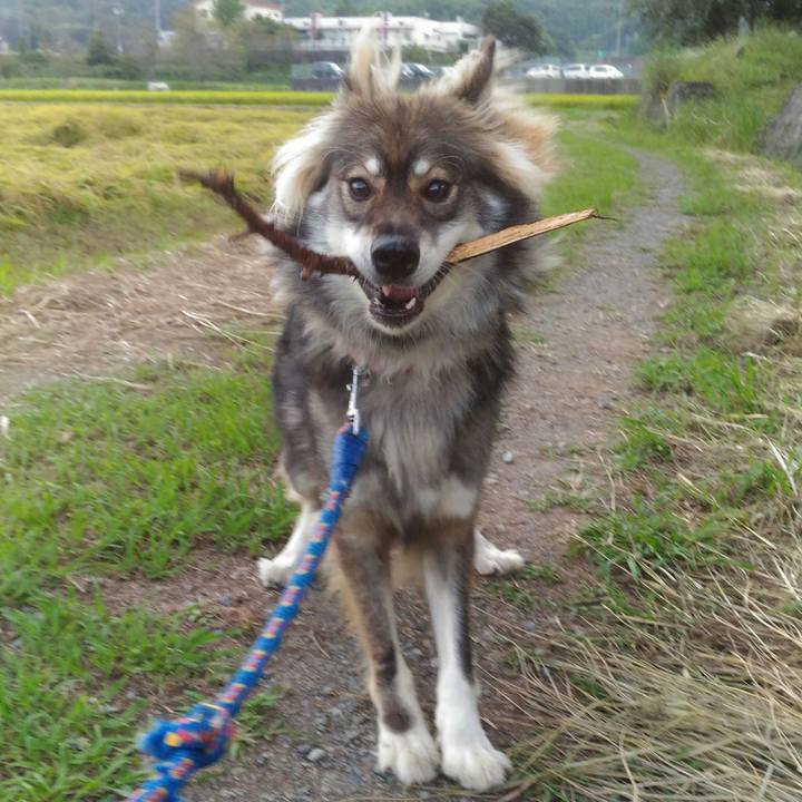 F54314b3 2d01 483a b8bb af757c2baf6f