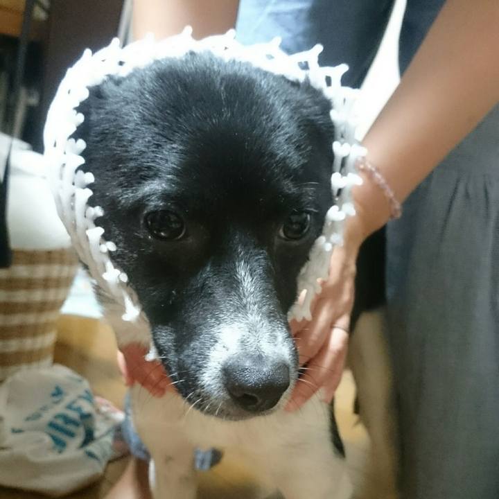 F5435225 a6d3 4803 995e bc02f1d3e101