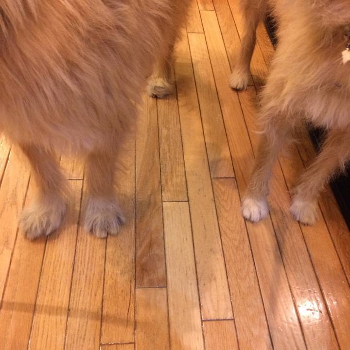 F543c11e 3ec7 43b9 a8bf bf47aec94438