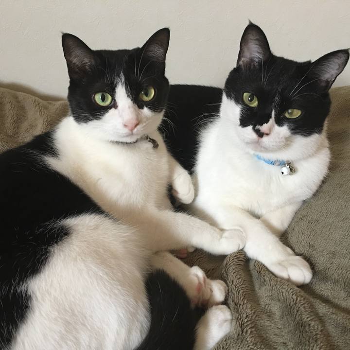 F544aa30 c3c3 46f3 a352 1fe0cad35791