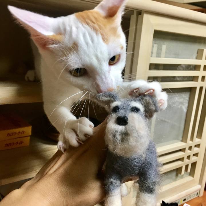 F544da2a 5062 425a ab17 e4a3cb250ce8