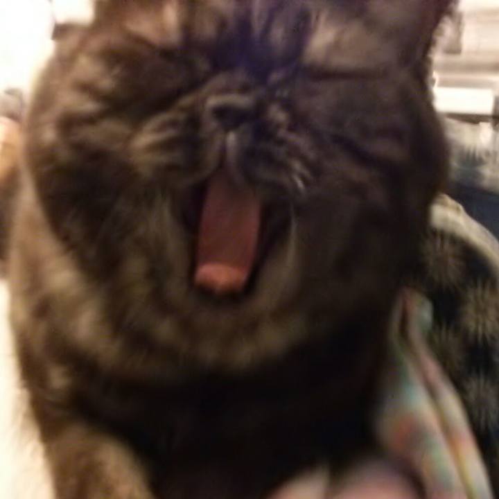 F5457cf9 7bd2 4d10 8bd4 8e1da5b034ef