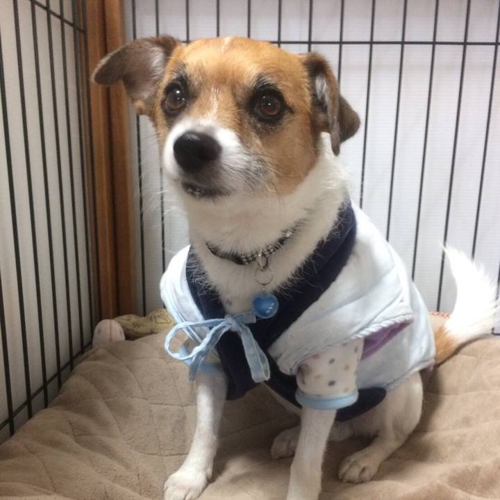 F545be45 756a 4ee6 bd71 9fa97f061ea9