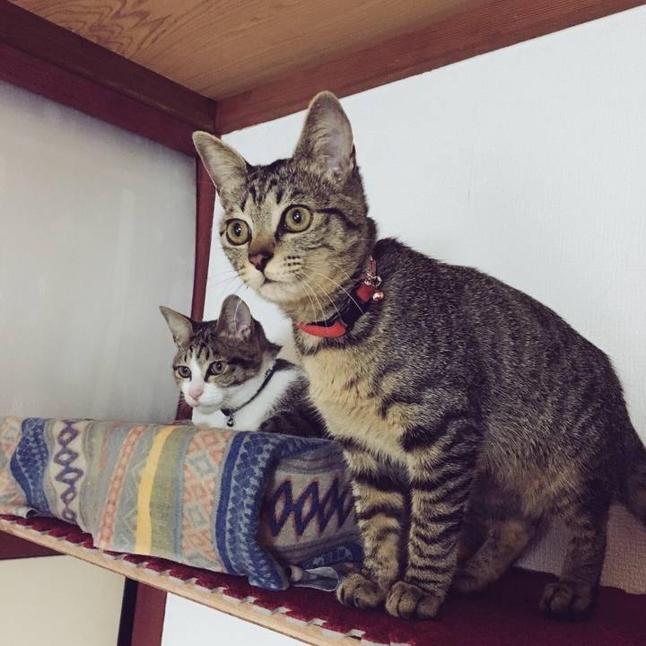 F545d2fc 1d44 4bd7 9436 a060876e9d9c