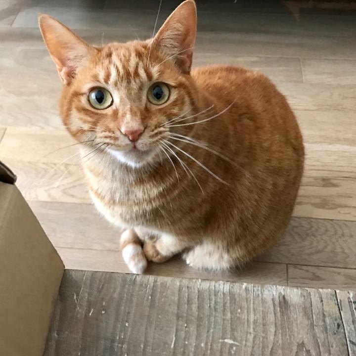 F54668a8 e833 4ce8 b7b5 4b081313cf8c