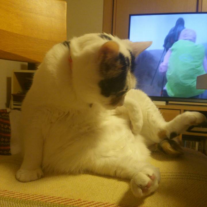 F5468e03 9a52 4a4f 9636 e899d76f6b1a