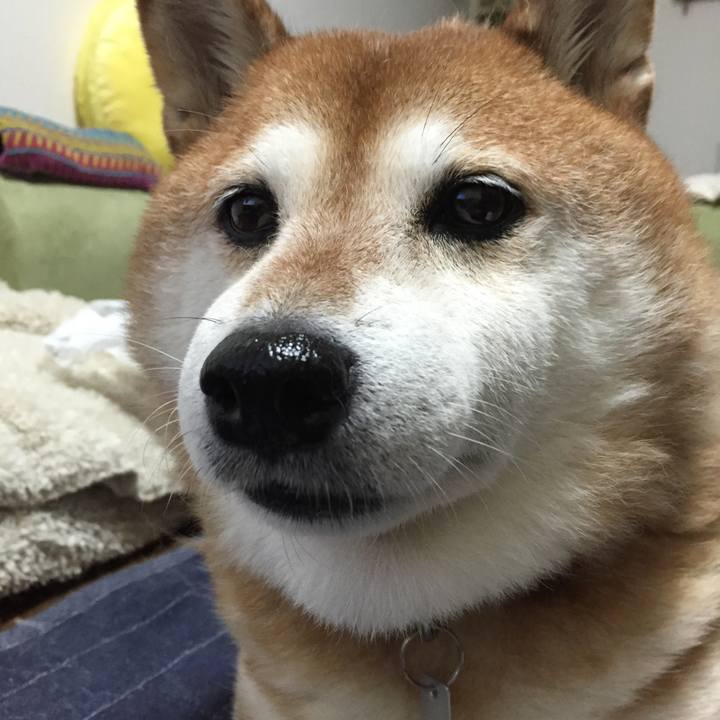 F5469ff4 c79e 4dc3 8631 5686170172dd