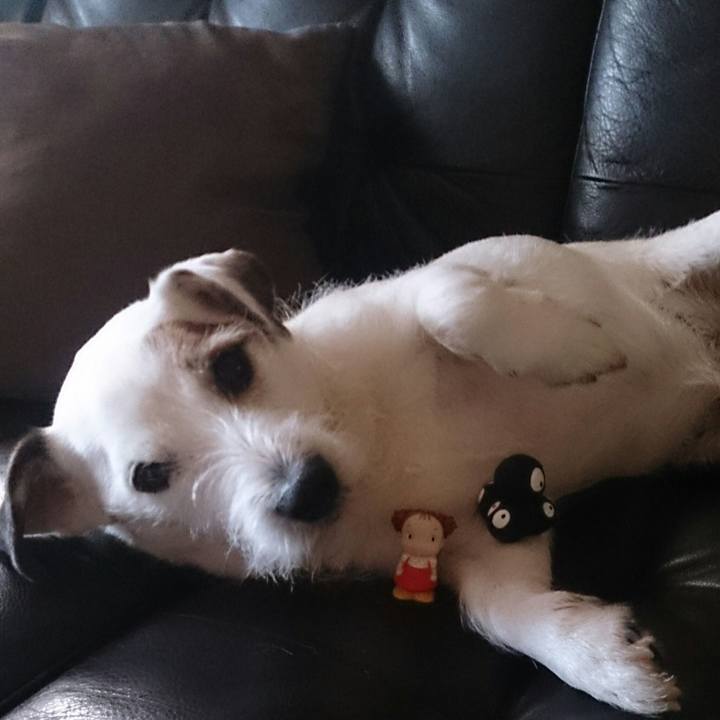 F546f775 3ea2 4f3e 8153 784e3aa102ca