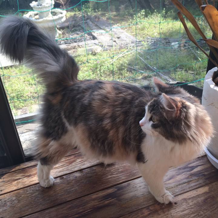 F5485449 e406 4a5d 9696 d530c2ed5bf9