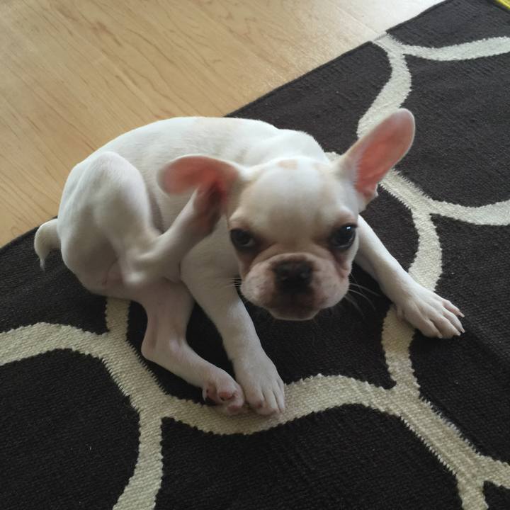 F54a033b c8e6 4498 81b5 76489668cba8