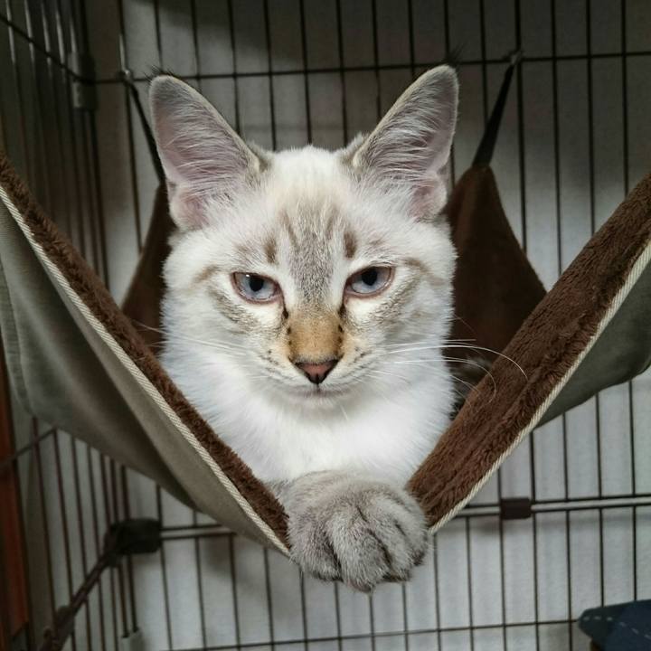 F54a5d11 84af 4b8e 99e6 d65880639b85