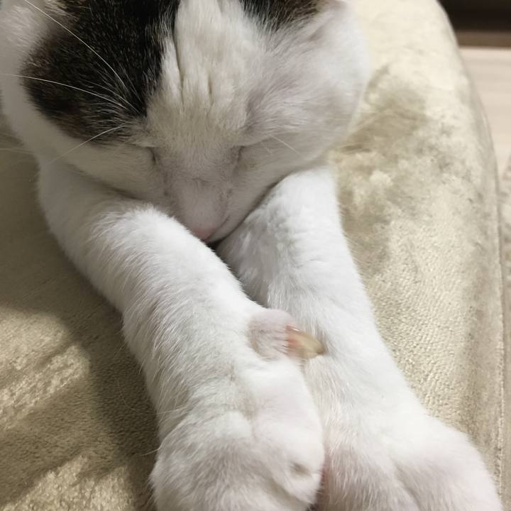 F54bd62c d822 449a 9e68 8199672b8926