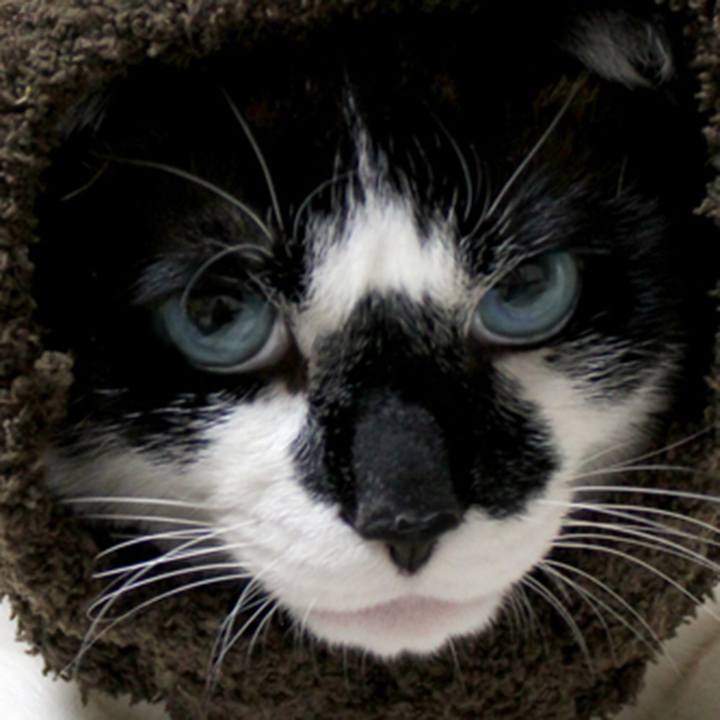 F54c274f ec90 4bc5 b401 8bcf234a1753