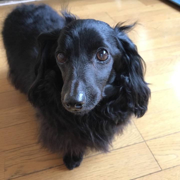 F54c9ef8 1616 46d2 90e3 6f1cd1f38002