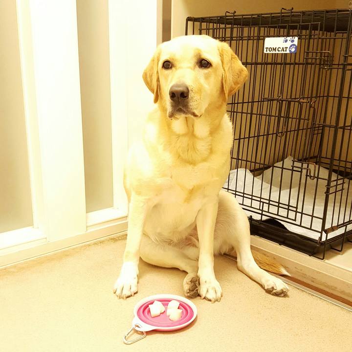 F54cdfc1 bb05 4678 84f5 7b20780dc0bd