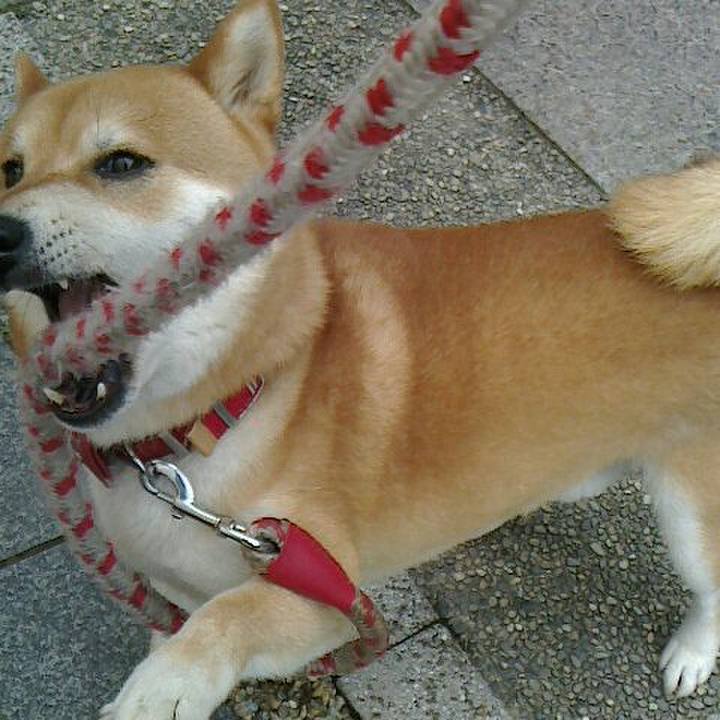 F54cfca9 a613 4984 9486 d9b741a19bcb