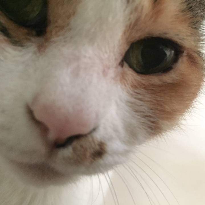 F54d0eef 62f5 4c6c bb25 4d3b3180a659