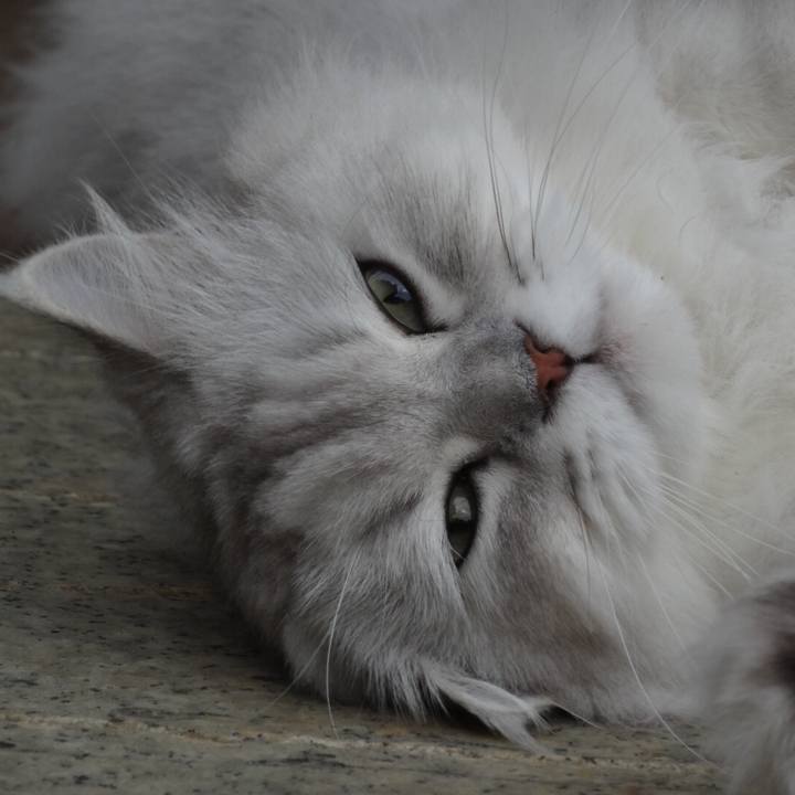 F54d5d80 c7fb 4f4d 859d 26d8805cb30b